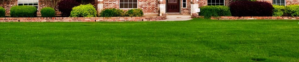 Dark green yard from fertilizing in City 1, State.